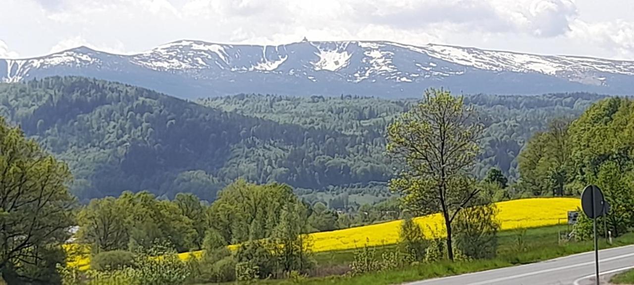 Skyview Apartment Mountain Views Jelenia Góra Exteriör bild